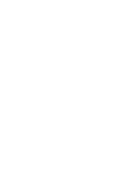 Game Boy
