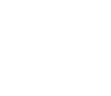 NES
