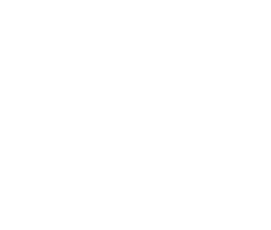Nintendo DS