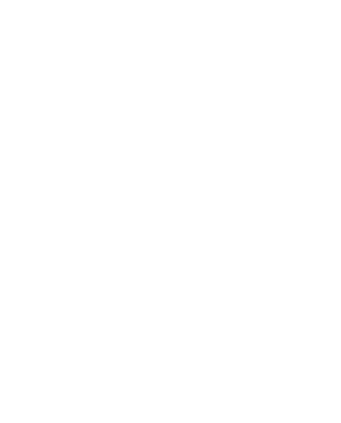 Wii