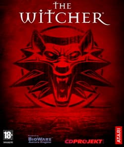 Обложка игры The Witcher